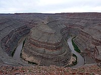 gooseneck (1).JPG